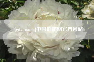 攸县中国消防网官方网站