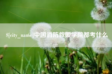 攸县中国消防救援学院都考什么