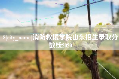 攸县消防救援学院山东招生录取分数线2020