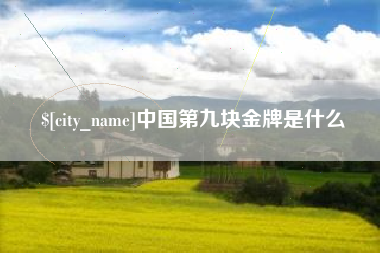 攸县中国第九块金牌是什么