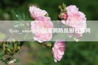 攸县2021国家消防员报名官网