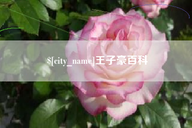 攸县王子豪百科
