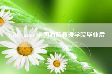 攸县中国消防救援学院毕业后