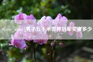 攸县男子五千米世界冠军奖金多少