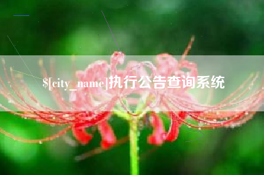 攸县执行公告查询系统