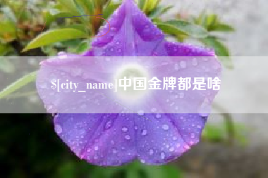攸县中国金牌都是啥