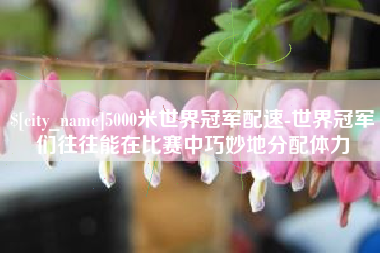 攸县5000米世界冠军配速-世界冠军们往往能在比赛中巧妙地分配体力