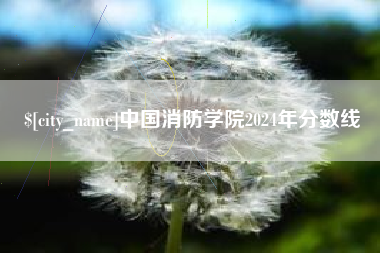 攸县中国消防学院2024年分数线