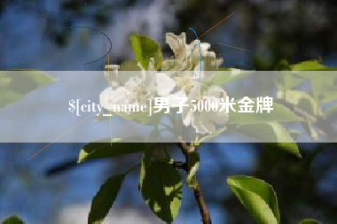 攸县男子5000米金牌