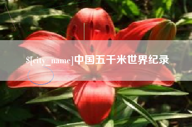 攸县中国五千米世界纪录
