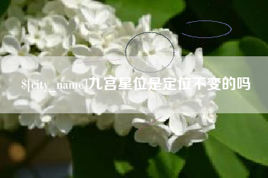 攸县九宫星位是定位不变的吗