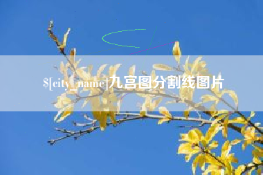 攸县九宫图分割线图片