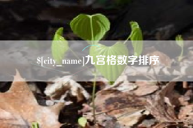 攸县九宫格数字排序