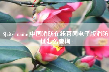 攸县中国消防在线官网电子版消防证怎么查询