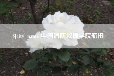 攸县中国消防救援学院航拍
