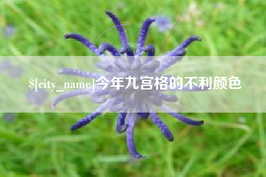 攸县今年九宫格的不利颜色