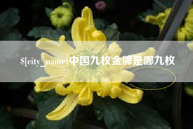 攸县中国九枚金牌是哪九枚