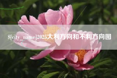 攸县2025大利方向和不利方向图