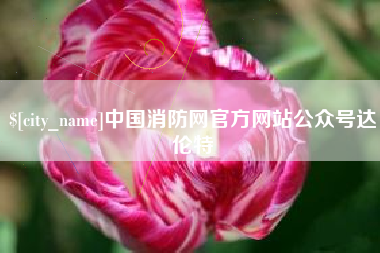 攸县中国消防网官方网站公众号达伦特