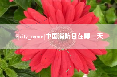 攸县中国消防日在哪一天