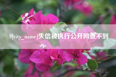 攸县失信被执行公开网查不到