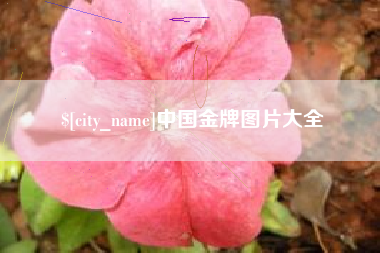 攸县中国金牌图片大全