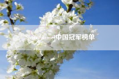 攸县中国冠军榜单