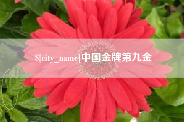 攸县中国金牌第九金