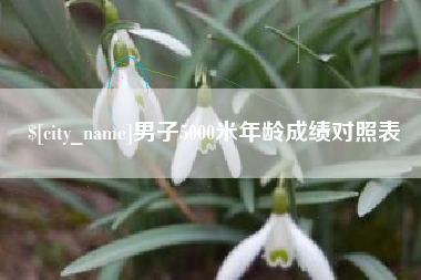 攸县男子5000米年龄成绩对照表