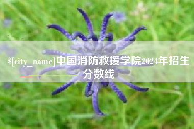 攸县中国消防救援学院2024年招生分数线