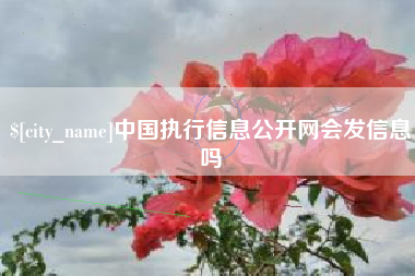 攸县中国执行信息公开网会发信息吗