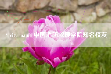 攸县中国消防救援学院知名校友