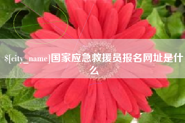 攸县国家应急救援员报名网址是什么