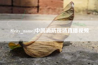 攸县中国消防现场直播视频