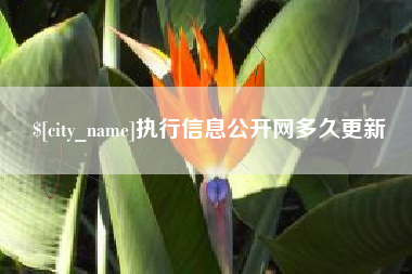 攸县执行信息公开网多久更新