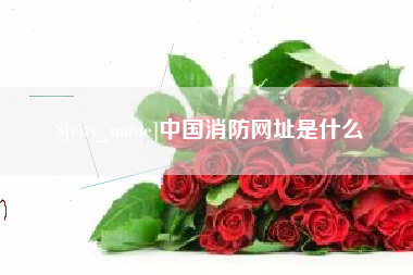攸县中国消防网址是什么