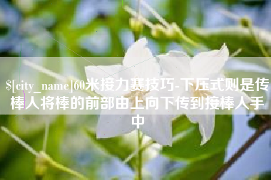 攸县60米接力赛技巧-下压式则是传棒人将棒的前部由上向下传到接棒人手中