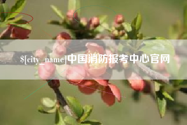 攸县中国消防报考中心官网