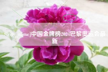 攸县中国金牌榜2024巴黎奥运会最新