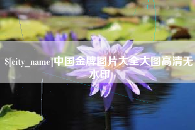 攸县中国金牌图片大全大图高清无水印
