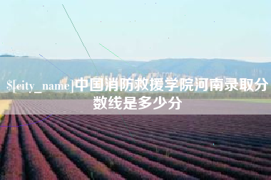 攸县中国消防救援学院河南录取分数线是多少分