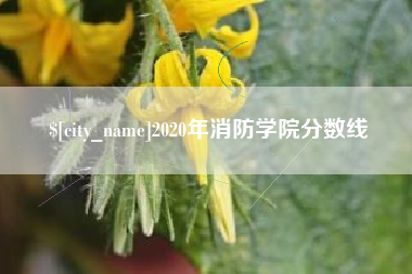 攸县2020年消防学院分数线
