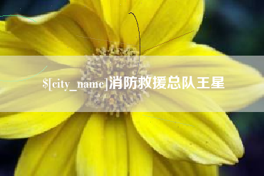 攸县消防救援总队王星