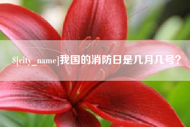 攸县我国的消防日是几月几号？