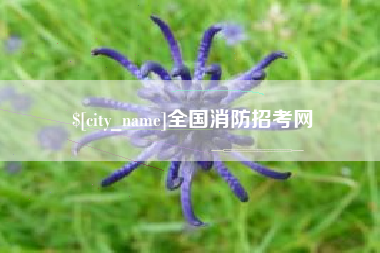 攸县全国消防招考网