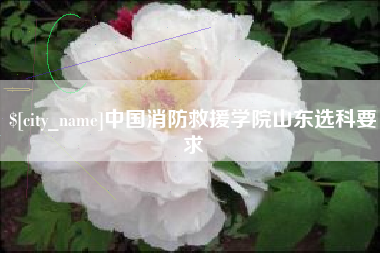 攸县中国消防救援学院山东选科要求