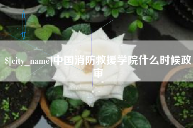 攸县中国消防救援学院什么时候政审