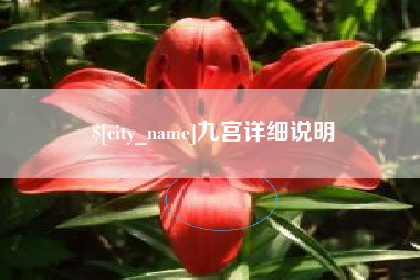 攸县九宫详细说明