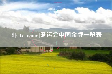 攸县冬运会中国金牌一览表