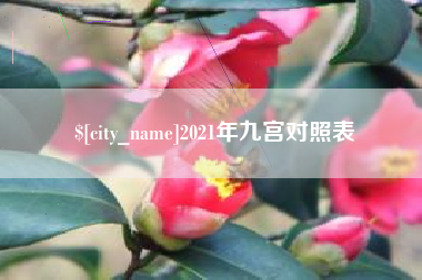 攸县2021年九宫对照表